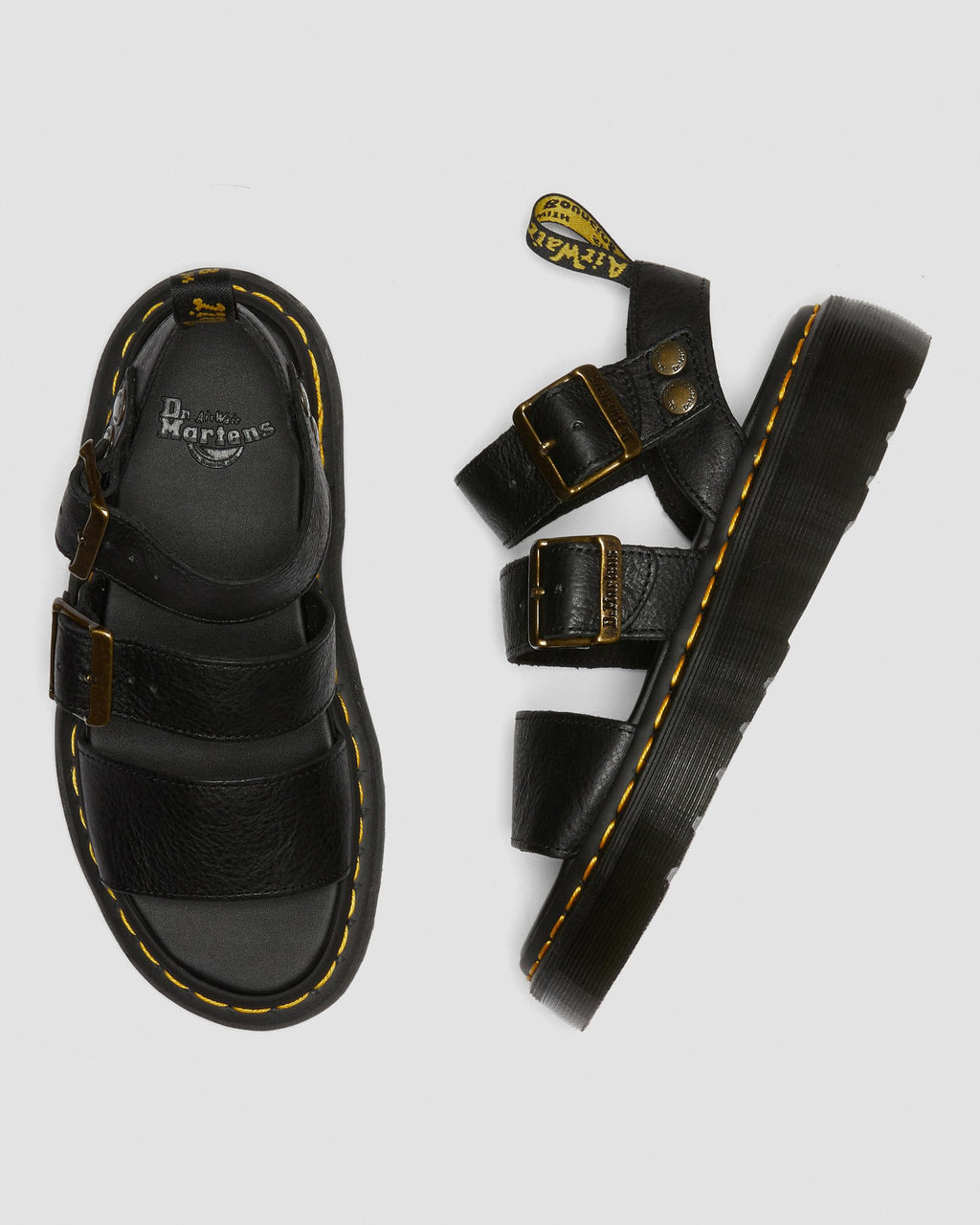 GRYPHON Quad Black Pisa