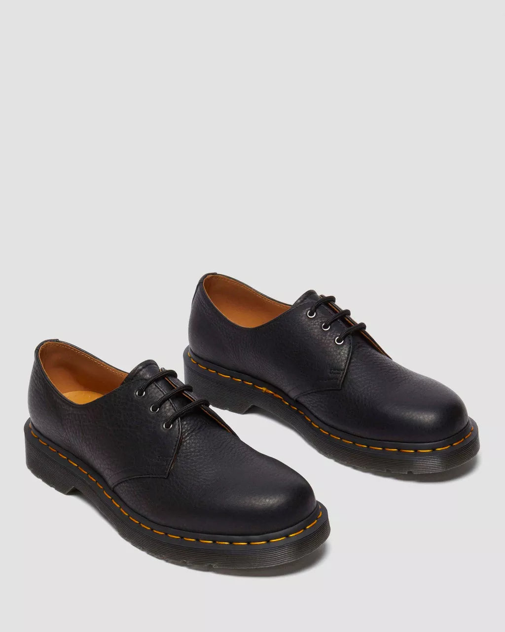 1461 Black Ambassador