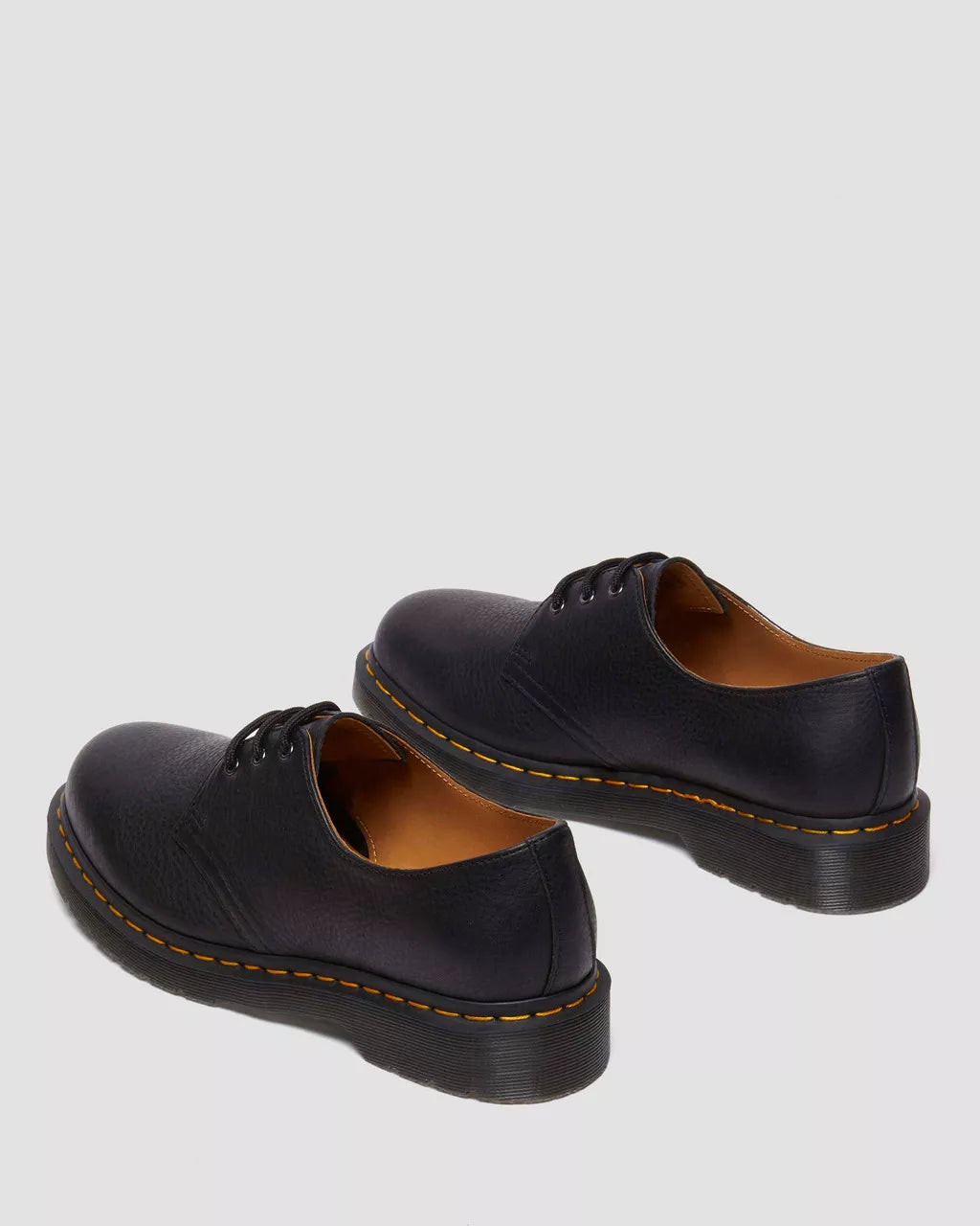 1461 Black Ambassador